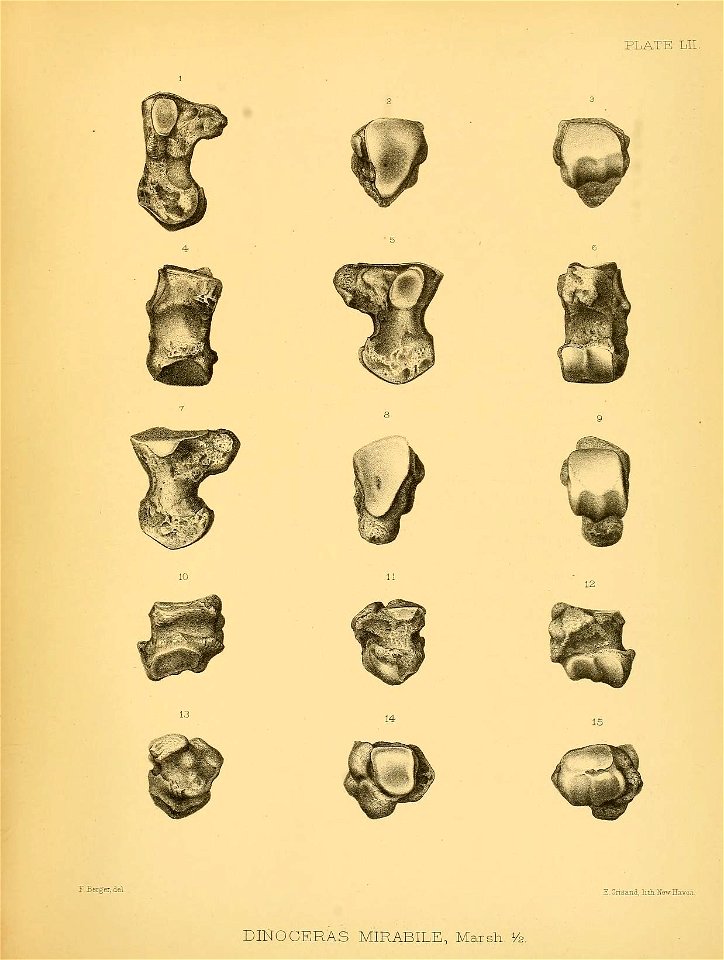 n474_w1150
