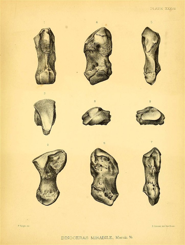 n414_w1150