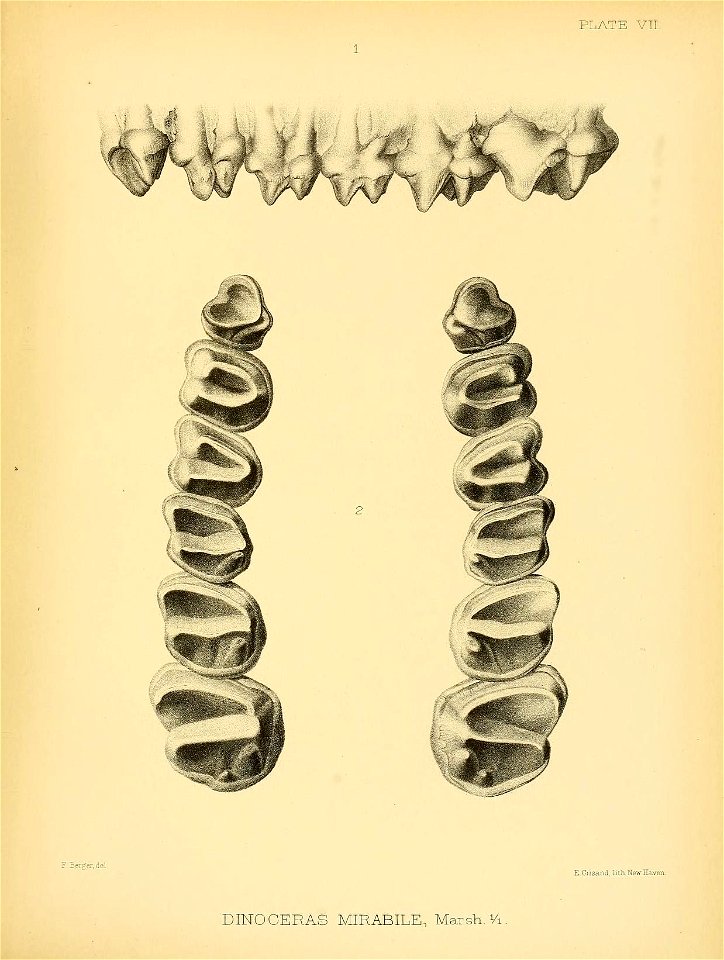 n294_w1150