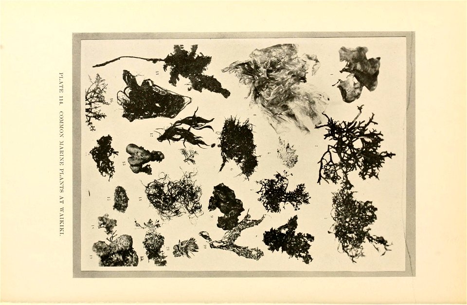 n501_w1150