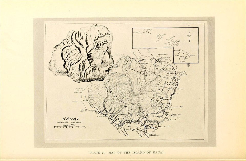 n113_w1150