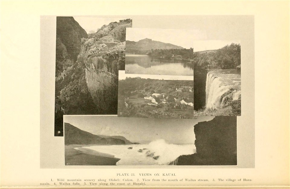 n111_w1150