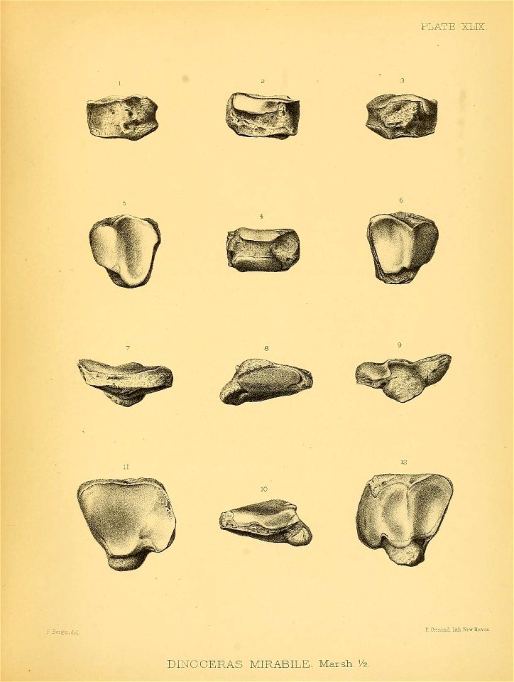 n462_w1150