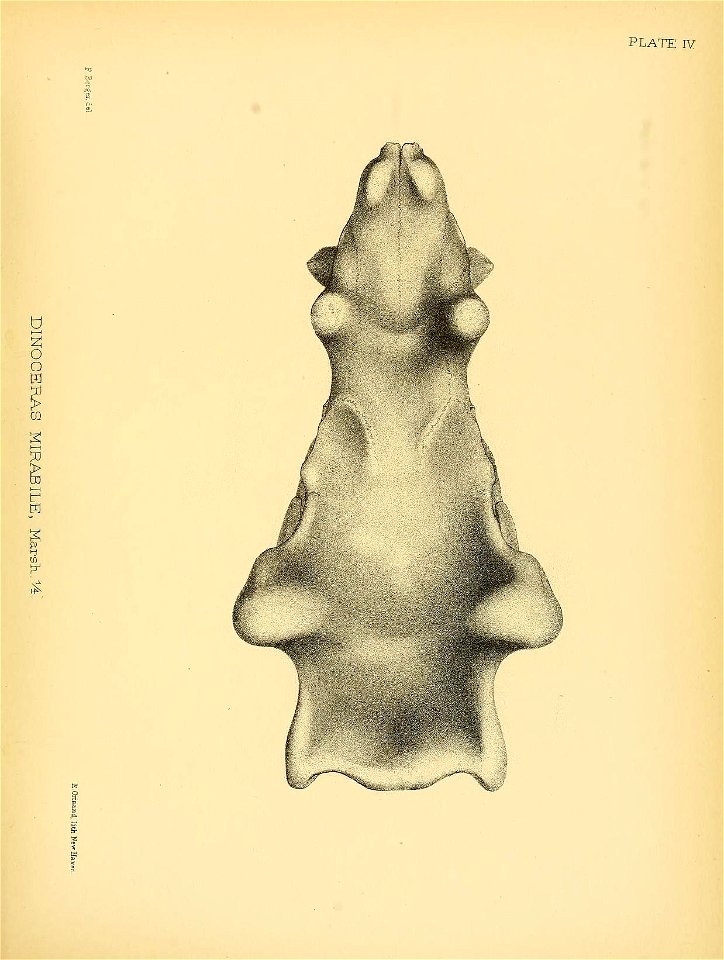 n282_w1150