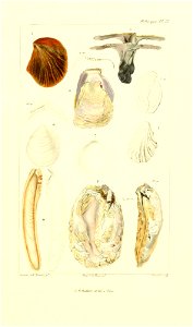 n106_w1150