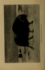 n295_w1150