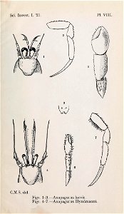 n258_w1150
