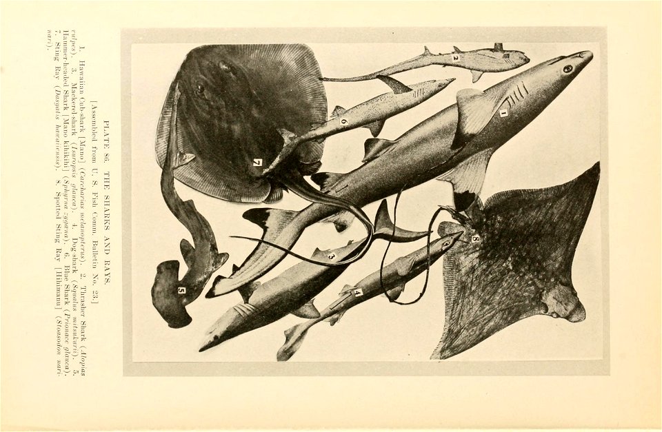 n349_w1150