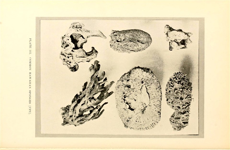 n503_w1150