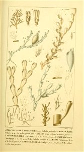 n162_w1150