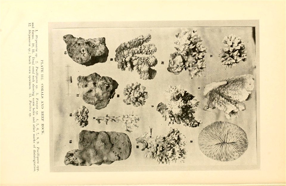 n497_w1150