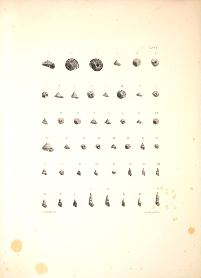 n448_w1150