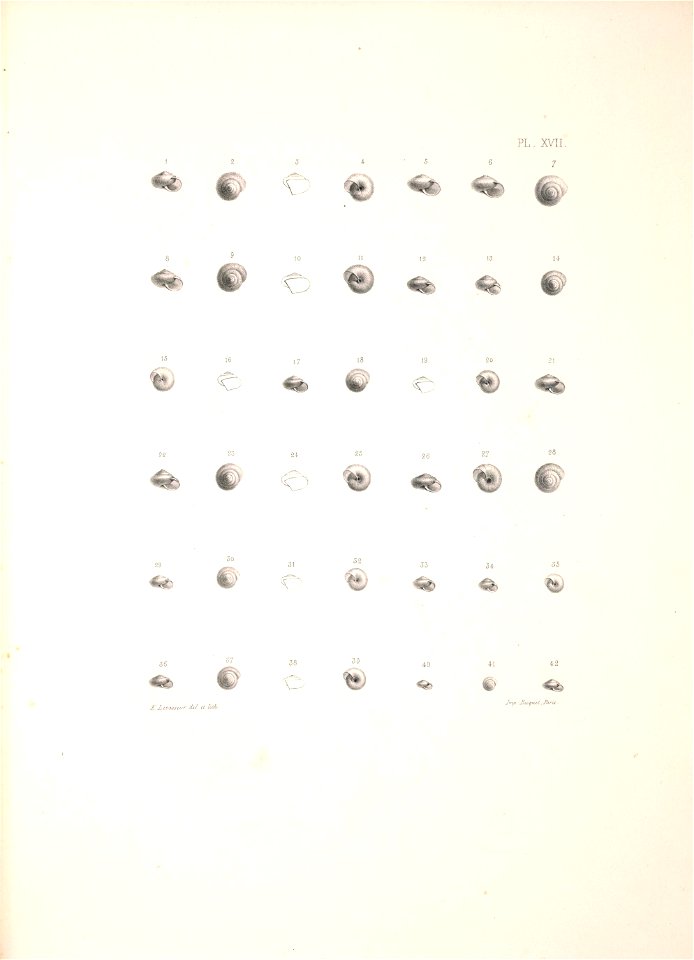 n388_w1150