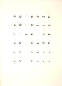 n388_w1150