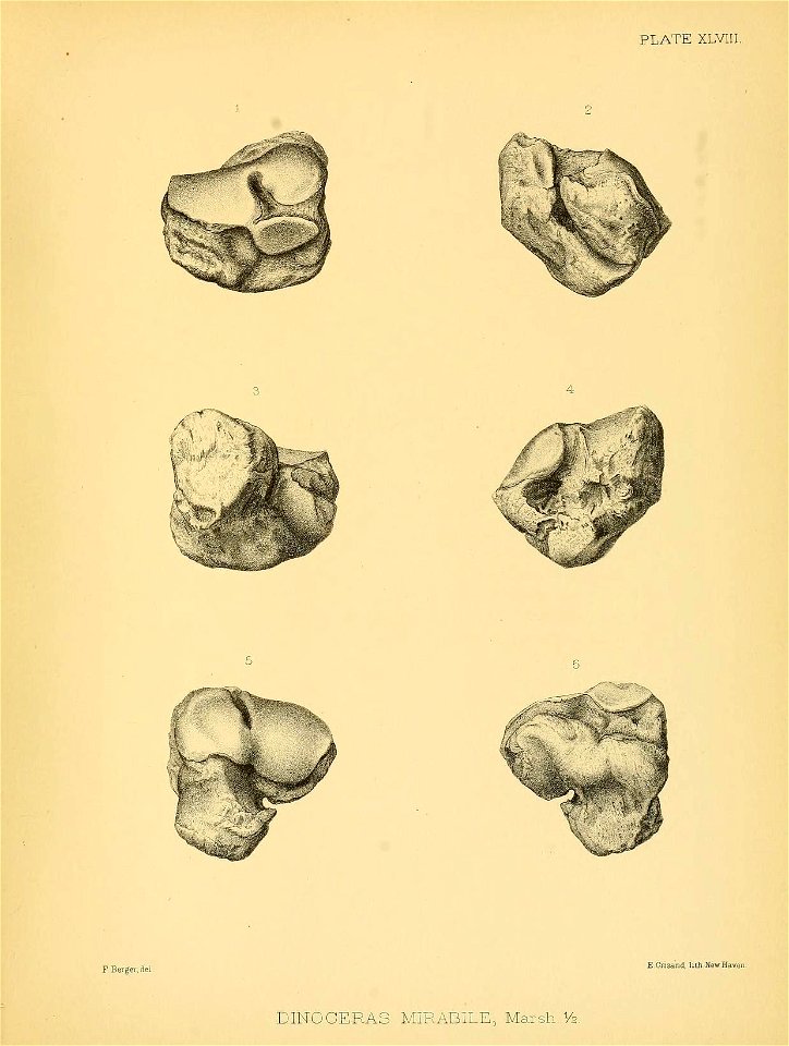 n458_w1150