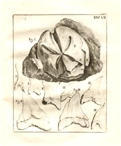 n101_w1150