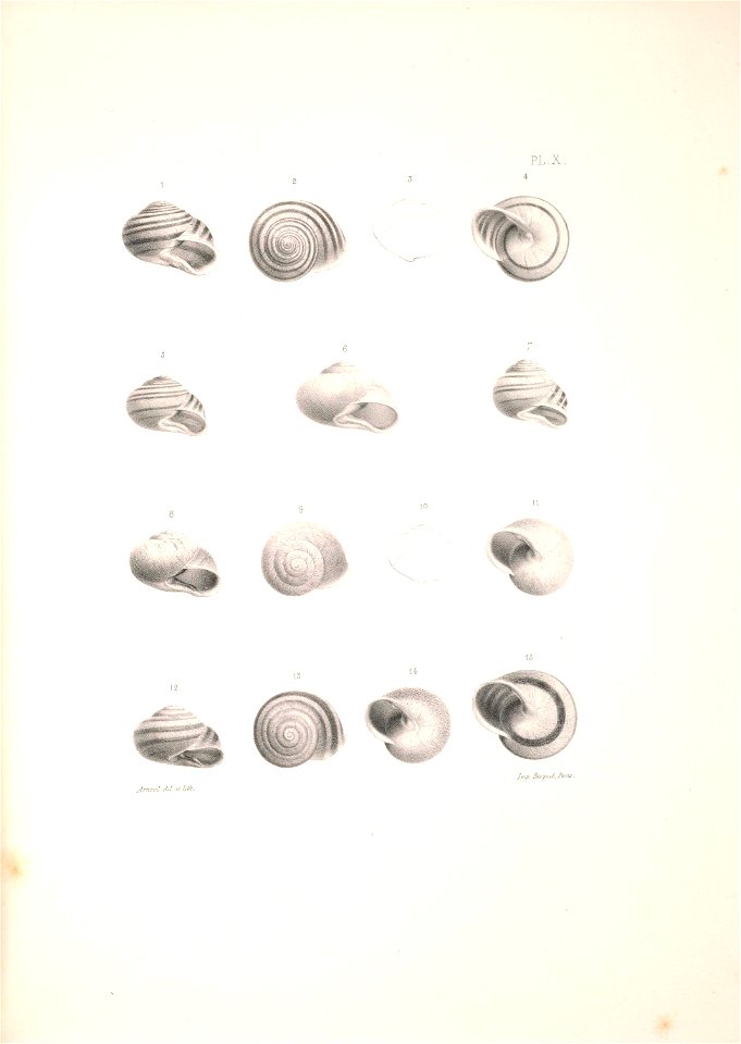 n360_w1150