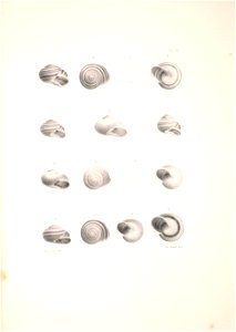 n360_w1150
