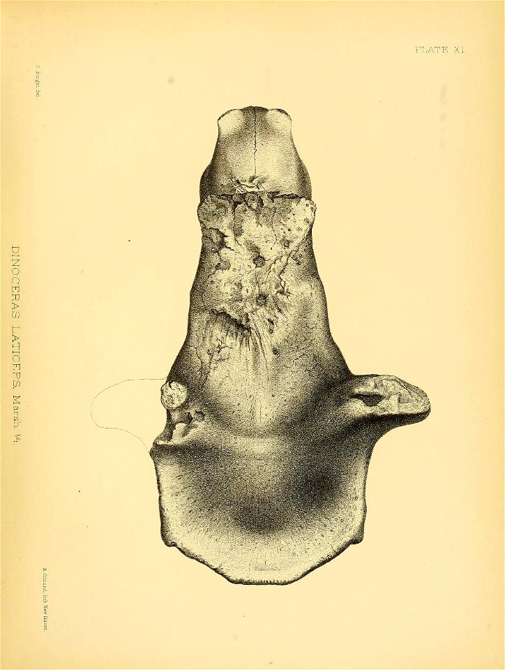 n310_w1150