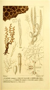 n168_w1150