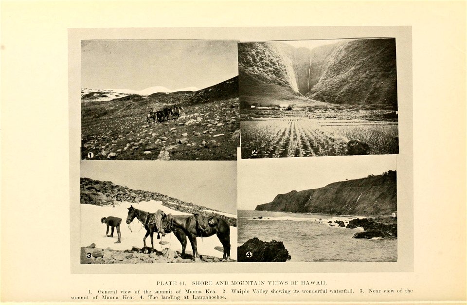 n163_w1150