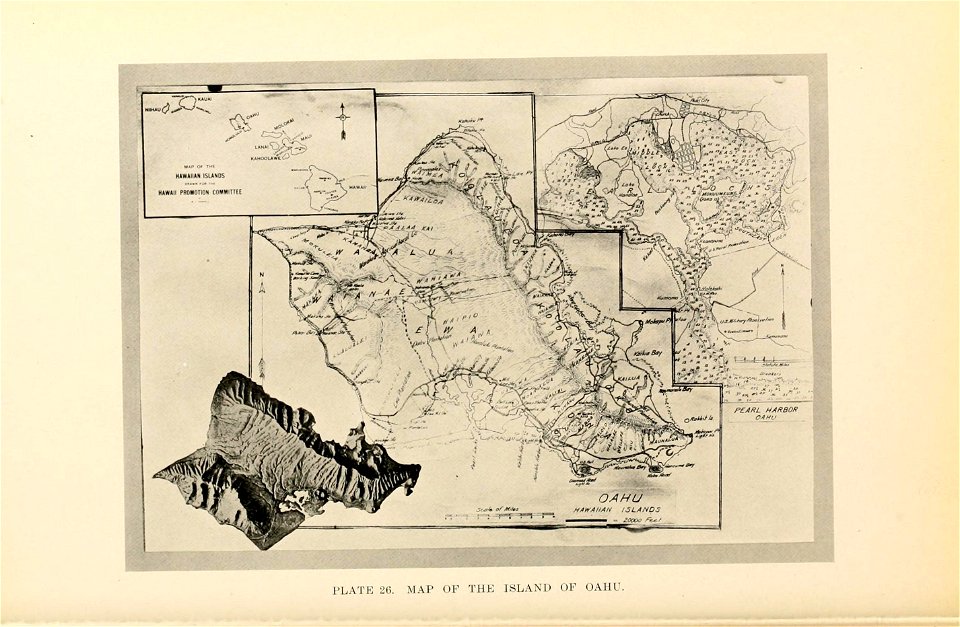 n119_w1150