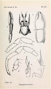 n248_w1150