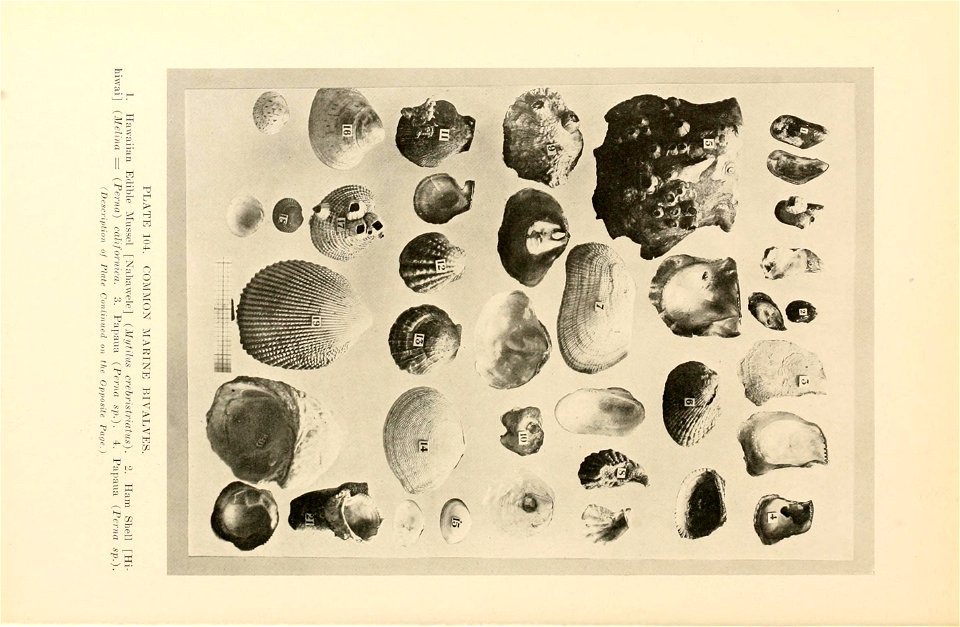 n465_w1150