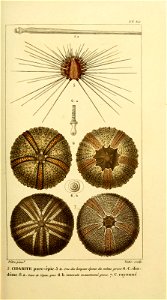 n50_w1150