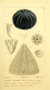 n46_w1150