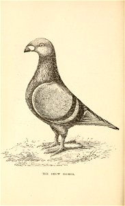 n233_w1150