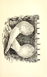 n134_w1150
