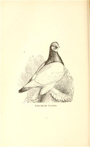 n191_w1150