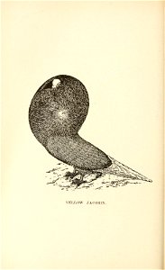 n131_w1150