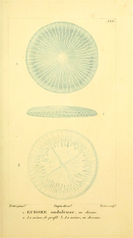 n68_w1150