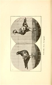 n199_w1150