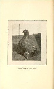 n195_w1150