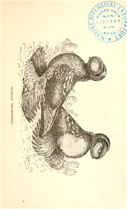n236_w1150