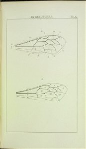 n252_w1150