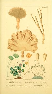n202_w1150