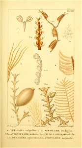 n172_w1150