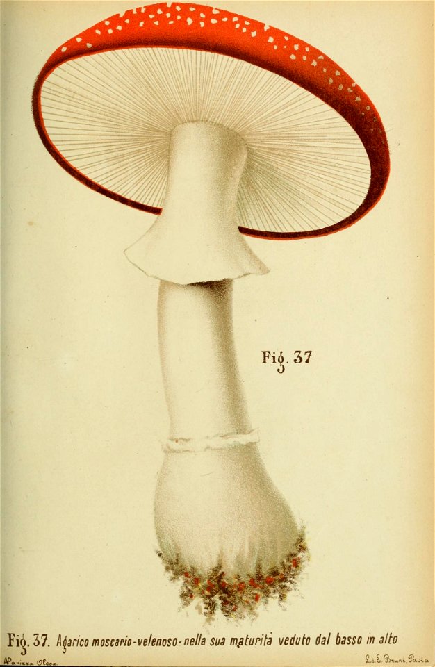 n106_w1150