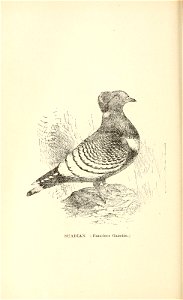 n173_w1150