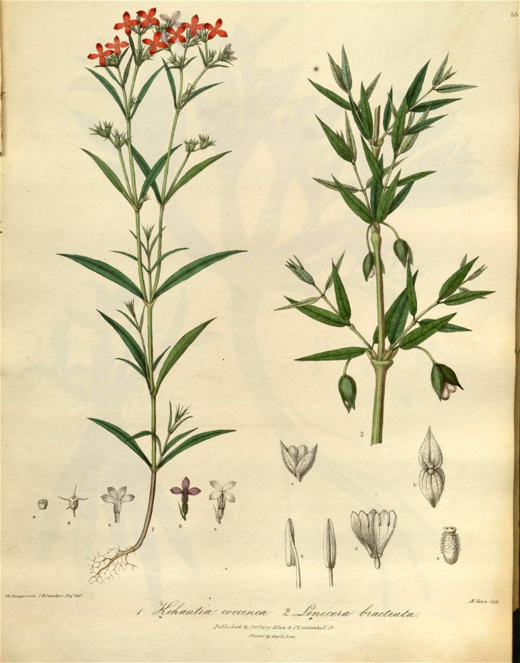 n59_w1150