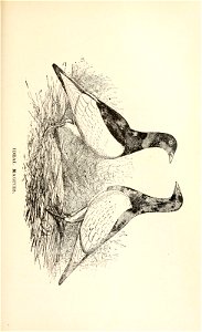 n138_w1150