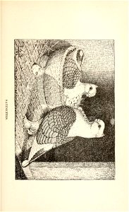 n170_w1150