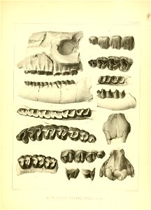 n162_w1150