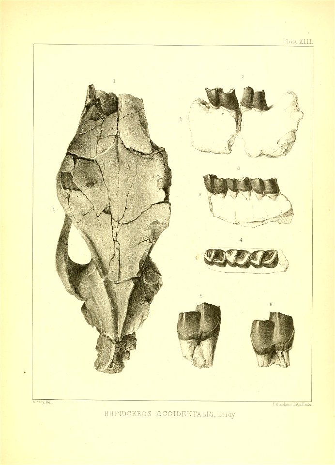n160_w1150
