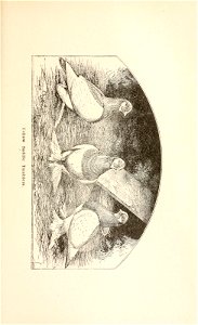 n190_w1150
