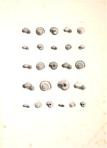 n424_w1150